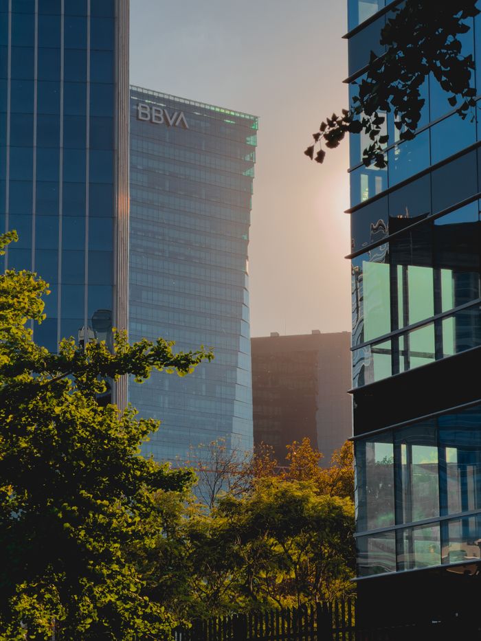 Sunset view of BBVA skyscraper and foliage in Buenos Aires, Argentina.